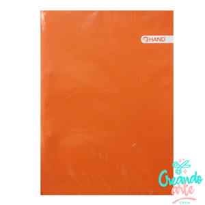 CARPETA PLASTIFICADA