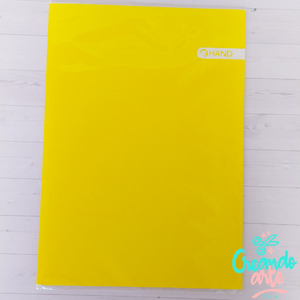 CARPETA PLASTIFICADA