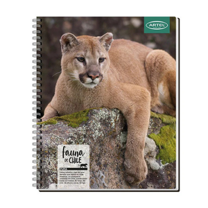 Cuaderno Universitario 100 Hojas 7mm Animales De Chile