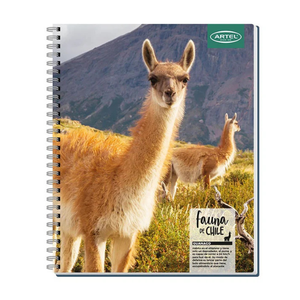 Cuaderno Universitario 100 Hojas 7mm Animales De Chile