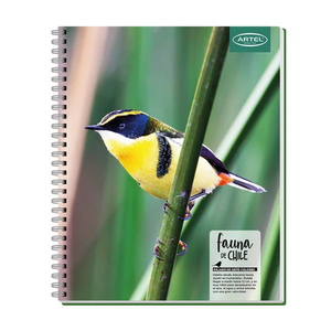 Cuaderno Universitario 100 Hojas 7mm Animales De Chile