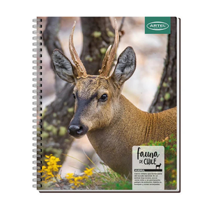 Cuaderno Universitario 100 Hojas 7mm Animales De Chile